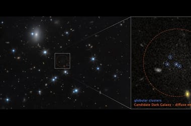 Thumbnail for 6974836