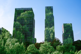 Thumbnail for 6975025