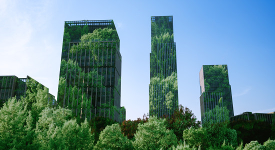 Thumbnail for 6975025