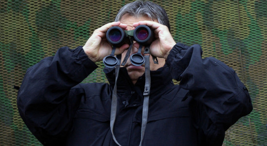 Thumbnail for 6975273