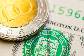 Thumbnail for 6975900