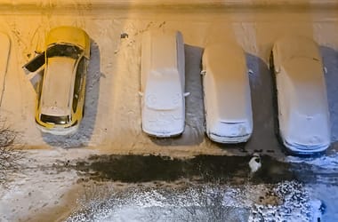 Thumbnail for 6975926