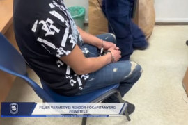 Thumbnail for 6976030