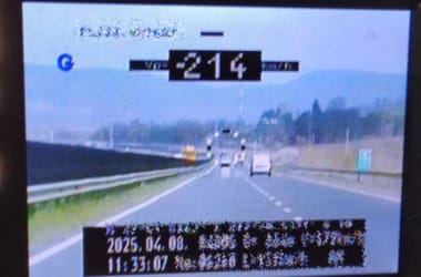 Thumbnail for 6976188