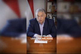 Thumbnail for 6976308