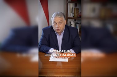 Thumbnail for 6976308