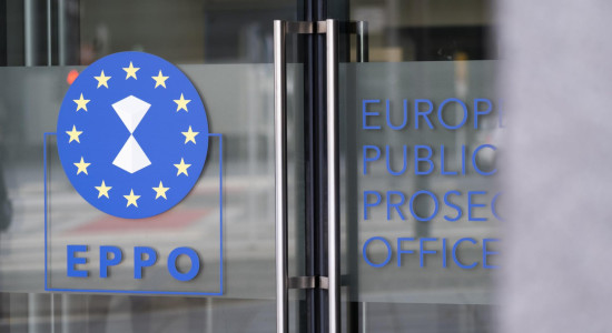 Thumbnail for 6976413