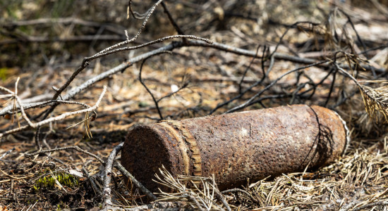 Thumbnail for 6976542