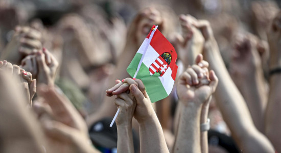 Thumbnail for 6976637