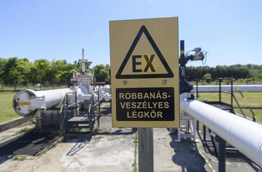 Thumbnail for 6976739