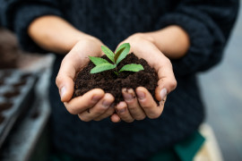 Thumbnail for 6976762