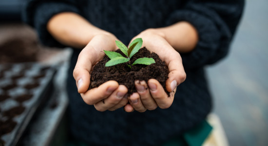 Thumbnail for 6976762