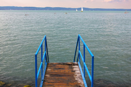 Thumbnail for 6976883