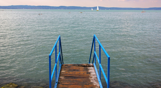 Thumbnail for 6976883