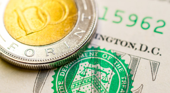 Thumbnail for 6977086