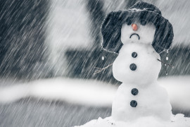 Thumbnail for 6977193