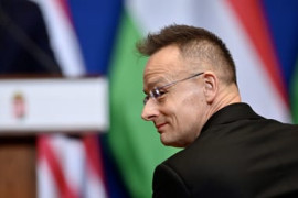 Thumbnail for 6977196