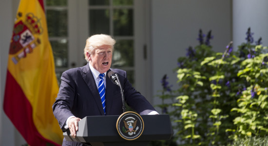 Thumbnail for 6977239