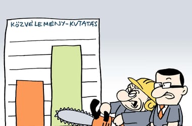 Thumbnail for 6977430