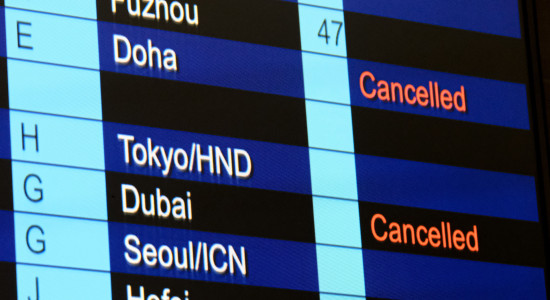 Thumbnail for 6977725