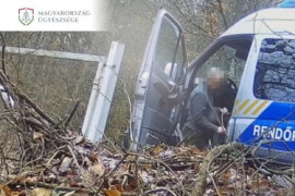 Thumbnail for 6977914