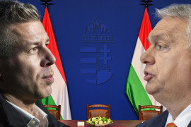 Thumbnail for 6978043