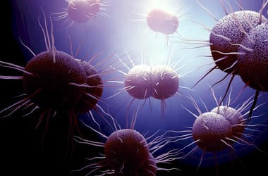 Thumbnail for 6978278