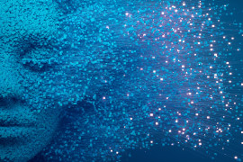 Thumbnail for 6978333