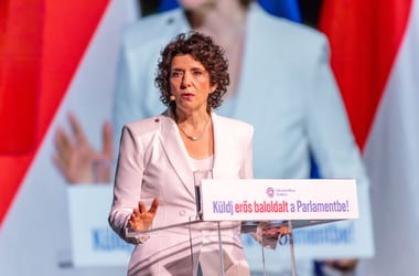 Thumbnail for 6978383