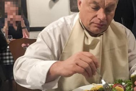 Thumbnail for 6978396