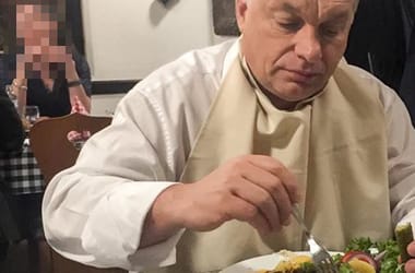 Thumbnail for 6978396