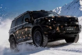 Thumbnail for 6979157