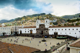 Thumbnail for 6979341