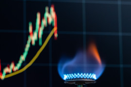 Thumbnail for 6979479