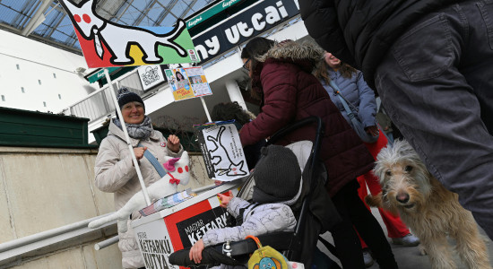 Thumbnail for 6979509