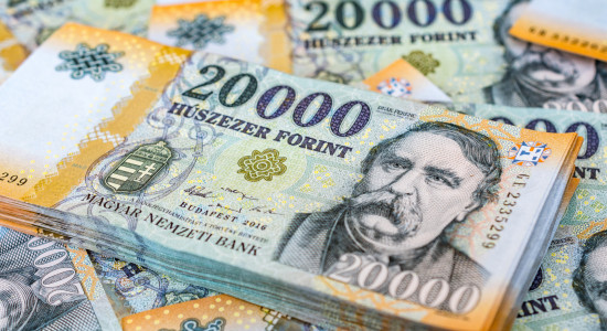 Thumbnail for 6979601