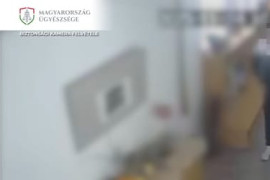 Thumbnail for 6979606