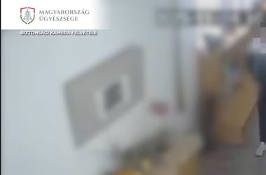 Thumbnail for 6979606