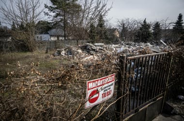 Thumbnail for 6979611