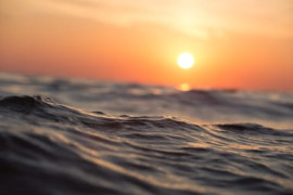 Thumbnail for 6979785