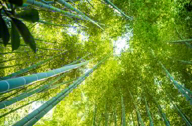 Thumbnail for 6979904