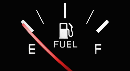 Thumbnail for 6979958