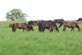 Thumbnail for 6979964