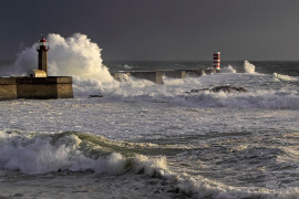 Thumbnail for 6979990