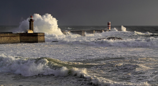 Thumbnail for 6979990