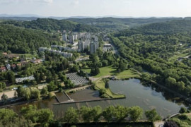 Thumbnail for 6979998