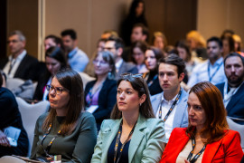 Thumbnail for 6980213