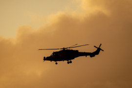 Thumbnail for 6980219