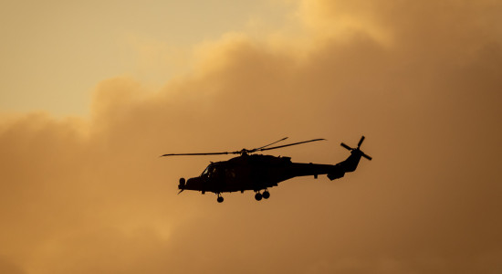 Thumbnail for 6980219