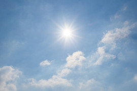 Thumbnail for 6980221